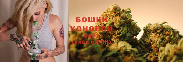 эйфоретик Покачи